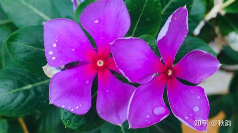 "A as well as B"结构的常用用法总结 - 知乎