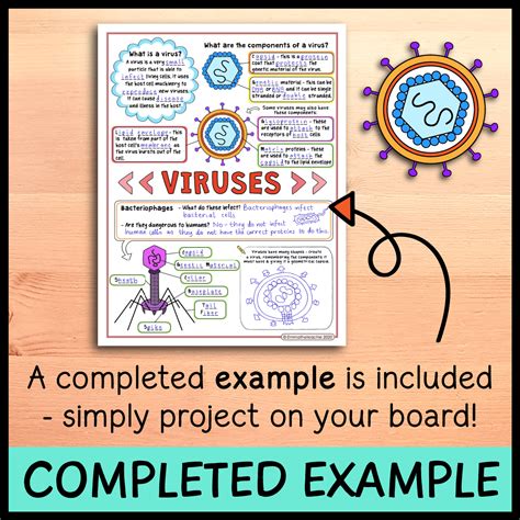Image result for Virus Examples