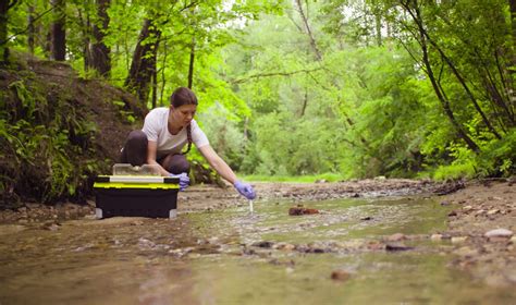 Image result for Payroll Software Front View Image