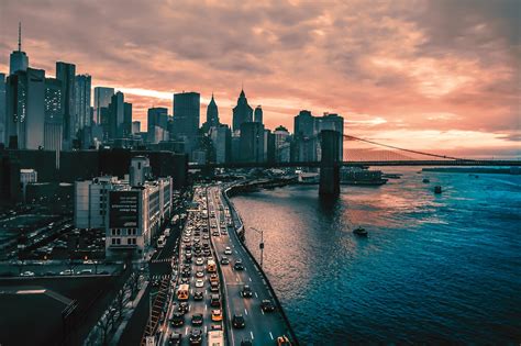 Society Example Pic 的图像结果