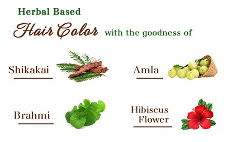 Buy Neha Herbals Henna Hair Colour, 150g (Pack of 10) - Brown Online at ...