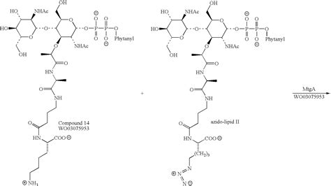 Polymer of Lipids