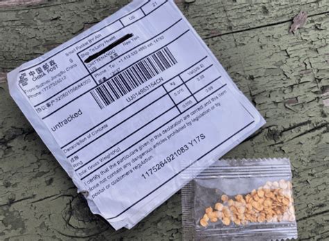 Mystery seeds show up in American mailboxes from China; US government ...