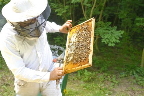 恒亮养蜂场 - 恒亮蜂产品官网