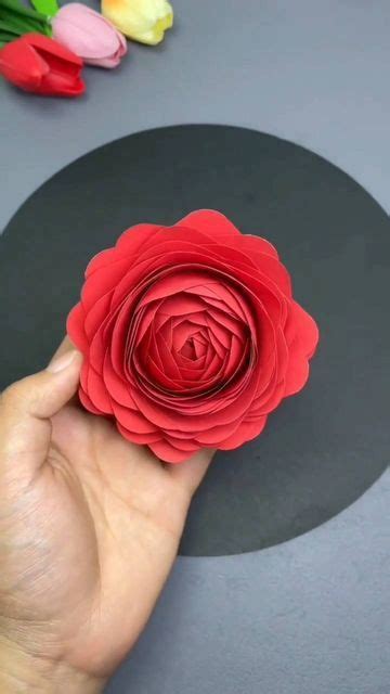 Tutorial Fizer Paper 的图像结果