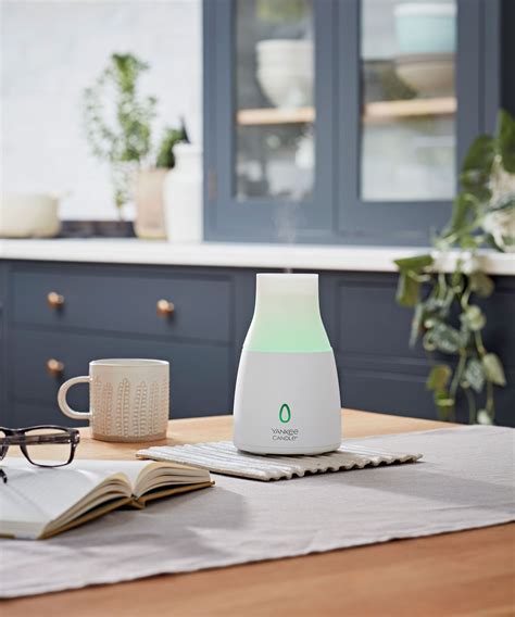 Image result for Clean Essential Oil Diffuser