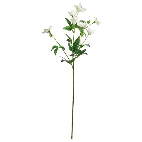 SMYCKA artificial flower, in/outdoor Lisianthus/white, 60 cm (23 ½") - IKEA