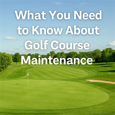 What You Need to Know About Golf Course Maintenance