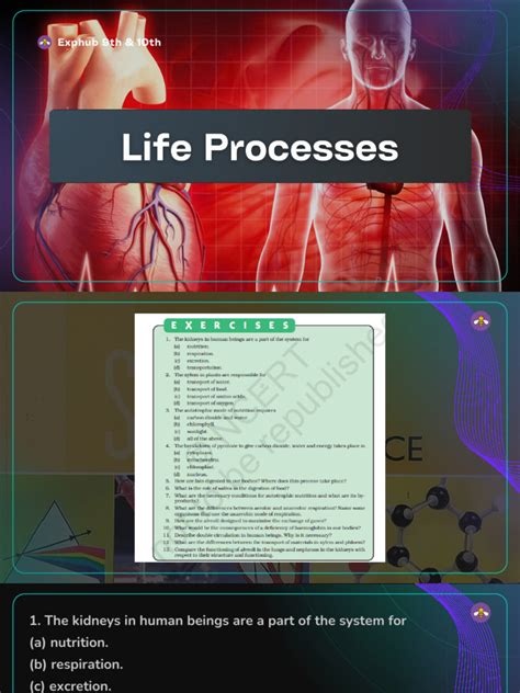 Image result for Class 9 Life Process Introduction