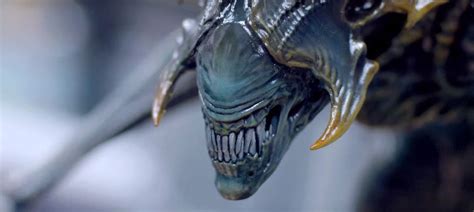 Image result for Alien King