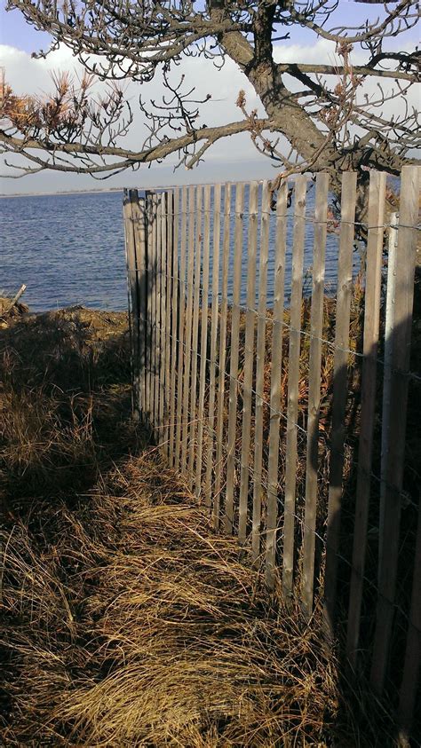 Jones Beach Field 10