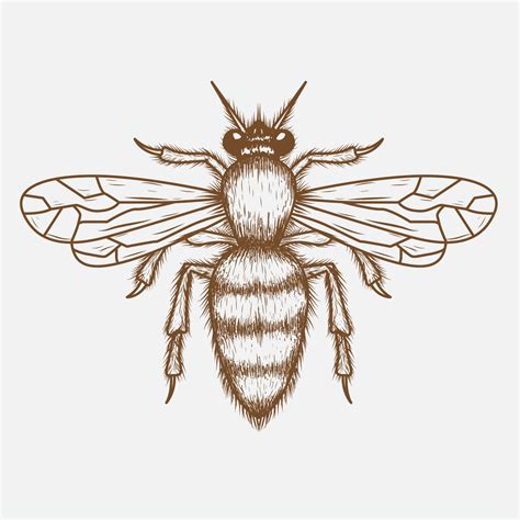 Bee Drawing Vector Art, Icons, and Graphics for Free Download