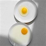 怎样辨别假鸡蛋（"优质鸡蛋"和"劣质鸡蛋"，区别挺大，弄懂再买，看完别乱吃了） | 说明书网
