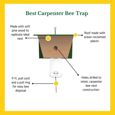 Wood Borer Bee Trap Plans