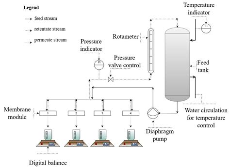 Wood-Based Cellulose-Rich Ultrafiltration Membranes: Alkaline ...