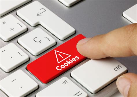 Image result for Computer Cookies