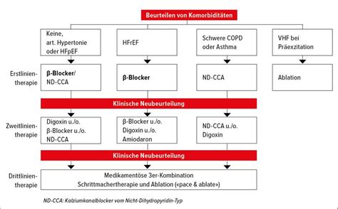 Vorhofflimmern und subklinisches Vorhofflimmern - Kardiologie ...