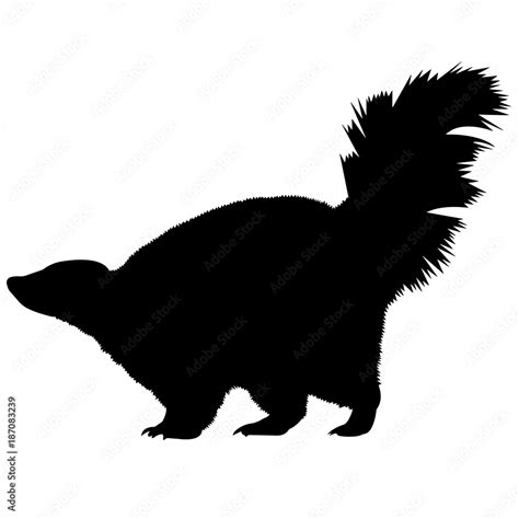 Image result for Website with Flutter Code Example