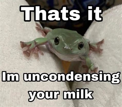 Image result for Frog Jumping Backwards Meme