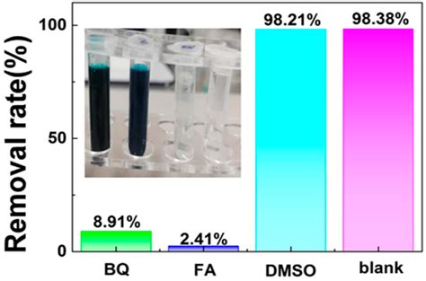 Synthesis of ZnO Nanoparticles Loaded on Biochar Derived from Spartina ...