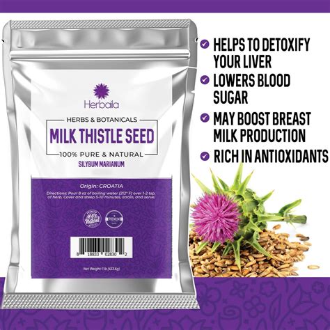 Milk Thistle Seeds 1 lb. Silymarin Milk Thistle Tea Bulk Milk Thistle ...