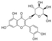 Examining the Pathogenesis of MAFLD and the Medicinal Properties of ...
