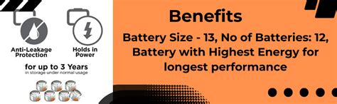 FatCherry Hearing Aid Battery Size 13, Pack of 12 Batteries (Varta ...