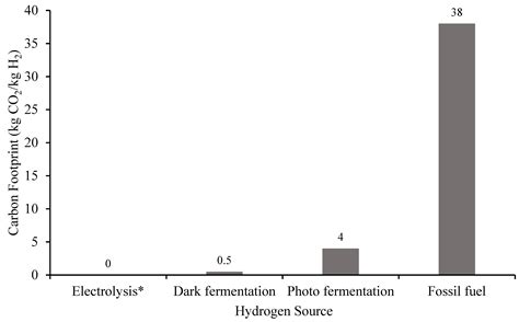 Intensification of Acidogenic Fermentation for the Production of ...