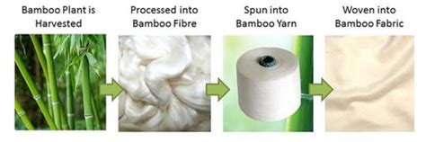 What Is Bamboo Cotton? – sustainme.in