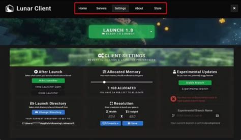 Image result for How to Use Lunar Client