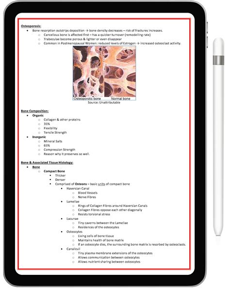Musculoskeletal System – Medical Note