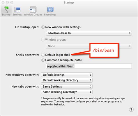 Run Shell Startup 的图像结果