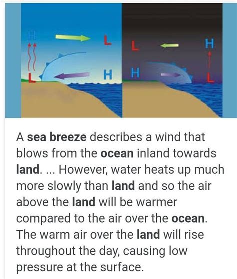 explain the sea breeeze and land breeze - Brainly.in