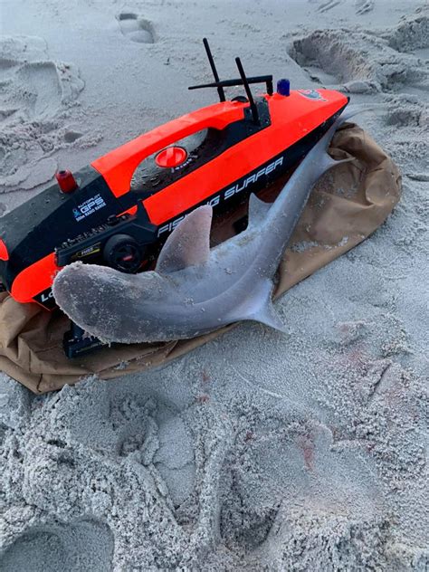 Fishing Surfer 的图像结果