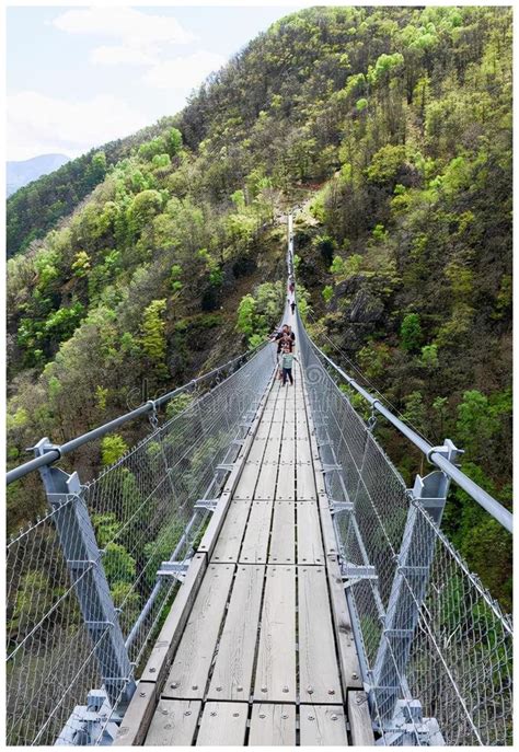 心理测试：你会走哪座吊桥，测你后半生的路好走吗？