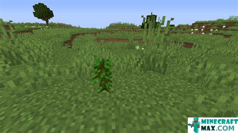 How to make Tropical tree sapling in Minecraft | Minecraft-Max.com