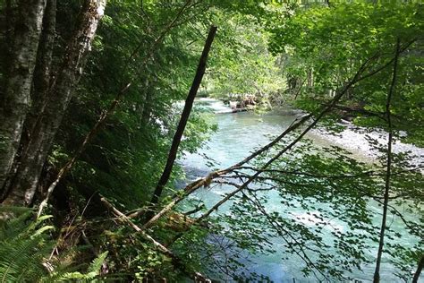 Seattle to Mt. Rainier SUV Tour 2022 - Viator