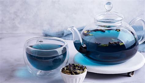 5 Potential Health Benefits of Drinking Blue Tea - lifeberrys.com