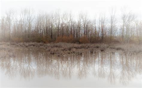 Image result for Spring Work Reflections