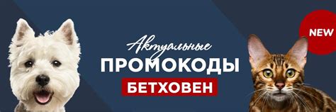Промокоды Бетховен 2025 | На нашей странице ты найдешь bethowen ru ...