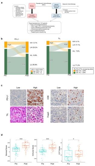 Dynamics of the Tumor Immune Microenvironment during Neoadjuvant ...