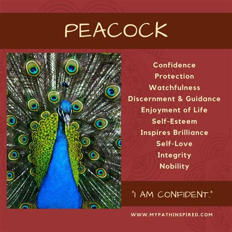 What does a peacock spirit animal mean and symbolize – Artofit