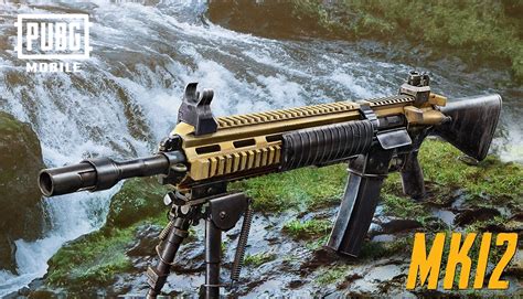 MK12 PUBG - Everything You Need To Know About This New DMR