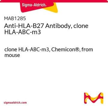 Anti-HLA-B27,Cln HLA-ABC-m3 (mouse monoclonal) clone HLA-ABC-m3 ...