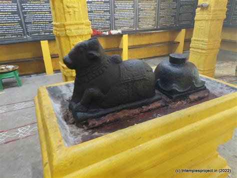 Airavateswarar, Maruthuvakudi, Thanjavur – TN Temples Project