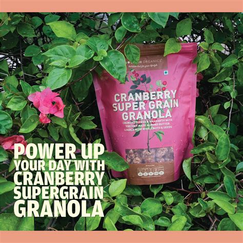 Buy Cranberry Super Grain Granola | Nourish organics