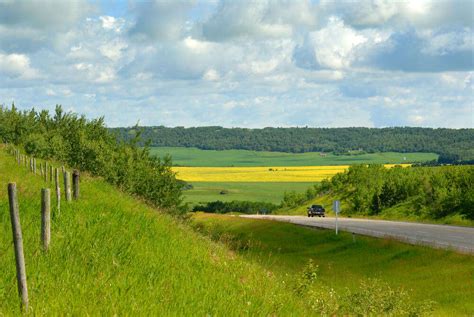 12 Canada National Parks That Are Every Wildlife Enthusiast’s Dream!
