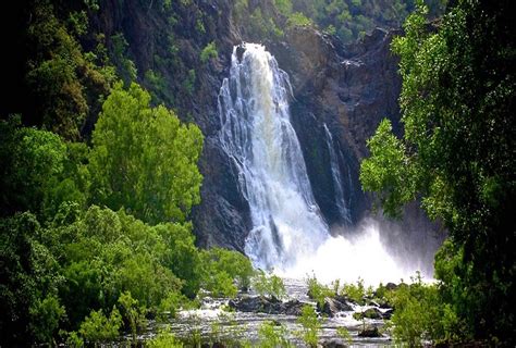 Where Is The Daintree Rainforest – QNAG