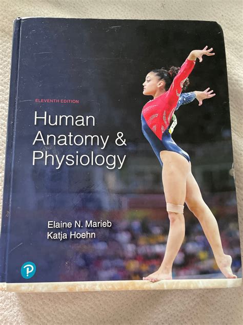 Human Anatomy And Physiology Textbook
