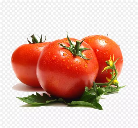 求推荐一本好看的关于吃西红柿的小说。 - 起点中文网